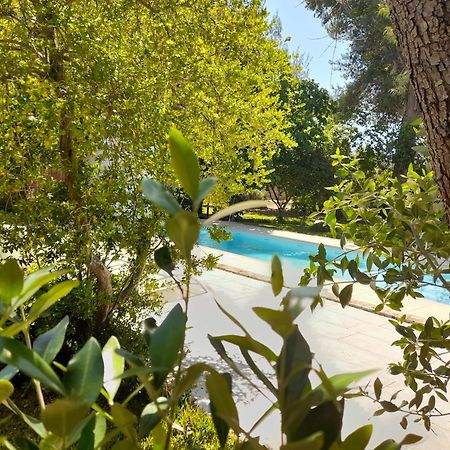 La Dimora Dei Gelsi Villa Castri di Lecce Luaran gambar