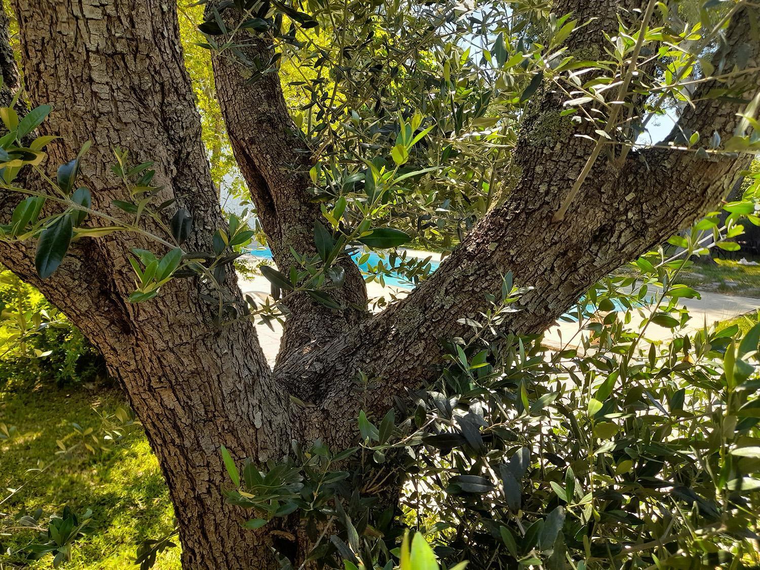 La Dimora Dei Gelsi Villa Castri di Lecce Luaran gambar